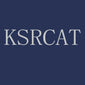 SHANGHAI KESAIRAY AUTO PARTS CO LTD